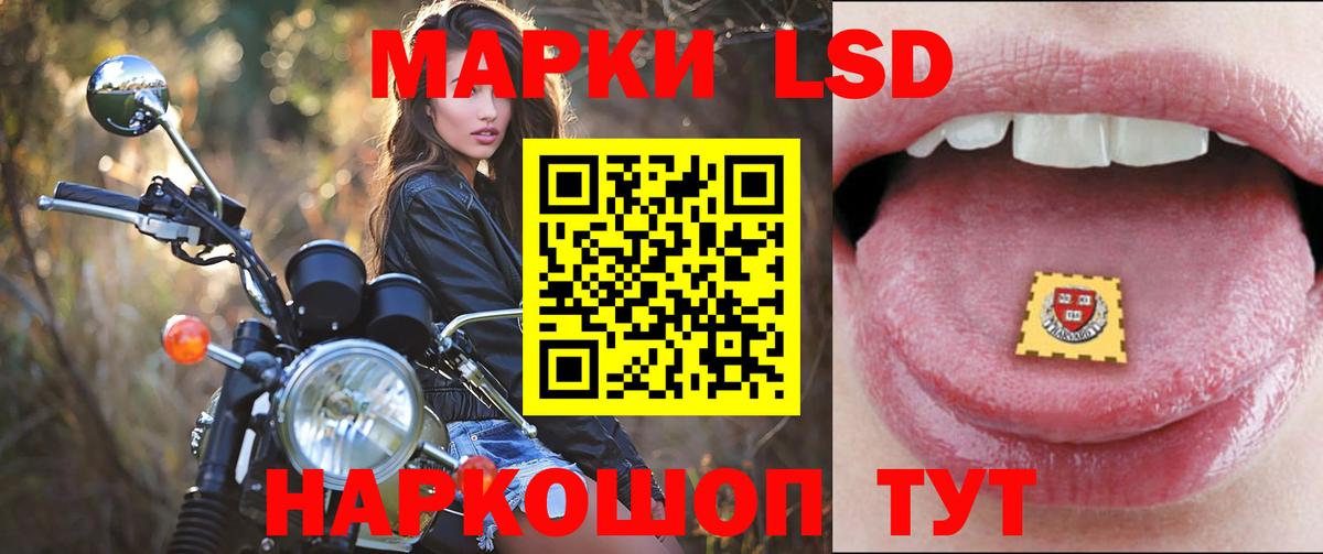 ЛСД экстази  ОМГ ОМГ как войти  Сердобск  Вход с VPN  LSD-25 экстази ecstasy  ЛСД экстази ecstasy 