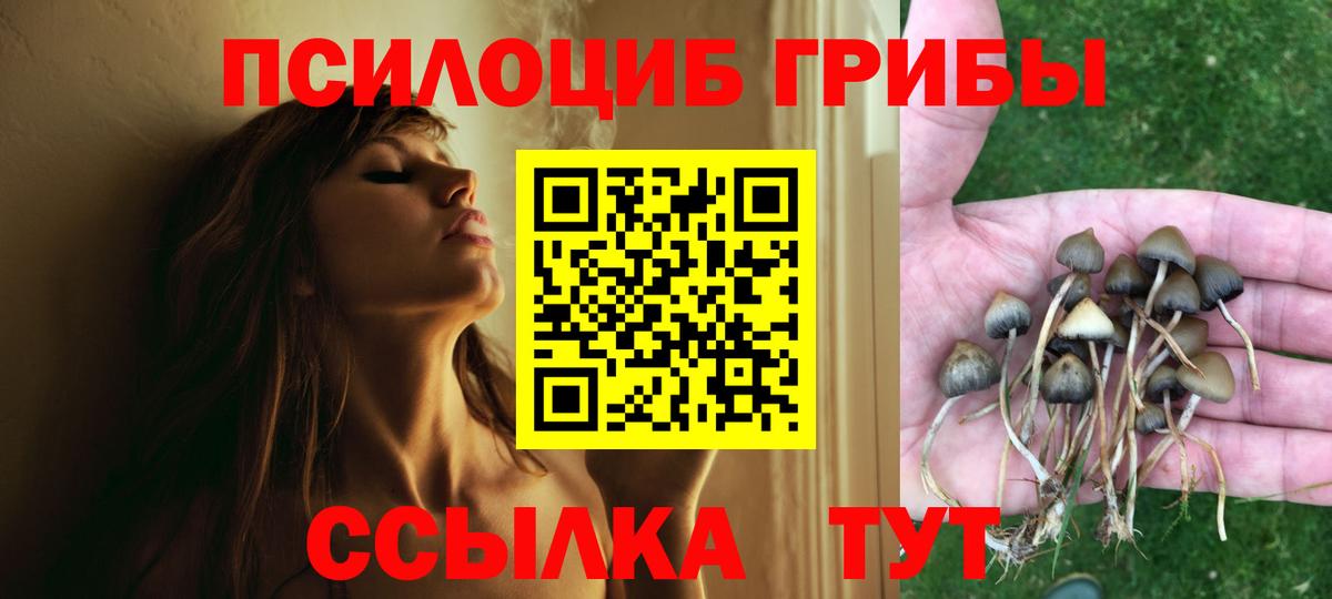 Псилоцибиновые грибы мицелий  Галлюциногенные грибы Psilocybine cubensis  Сердобск  Вход с VPN 
